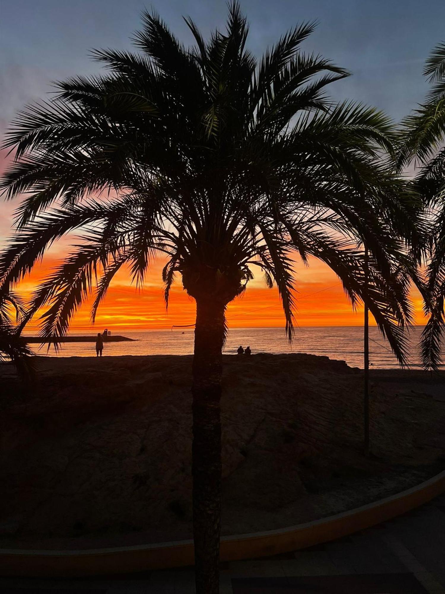 Modern Apartment Directly On The Beach With Wifi And Air Conditioning El Campello Exterior photo